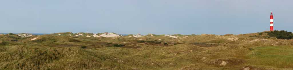 D&uuml;nenpflege mit Galloways Amrum