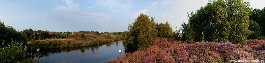 Heide-Blüte am Angelteich mit Blick zum Leuchtturm (2009)
